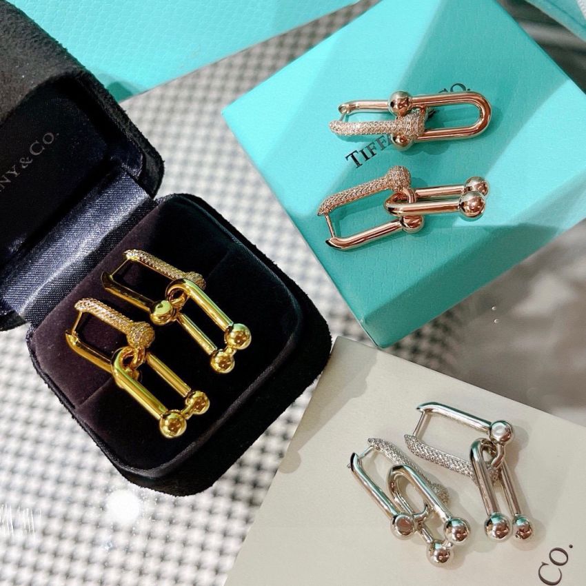 T*f*ny & Co earrings