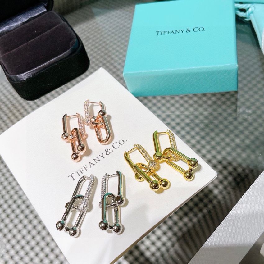 T*f*ny & Co earrings