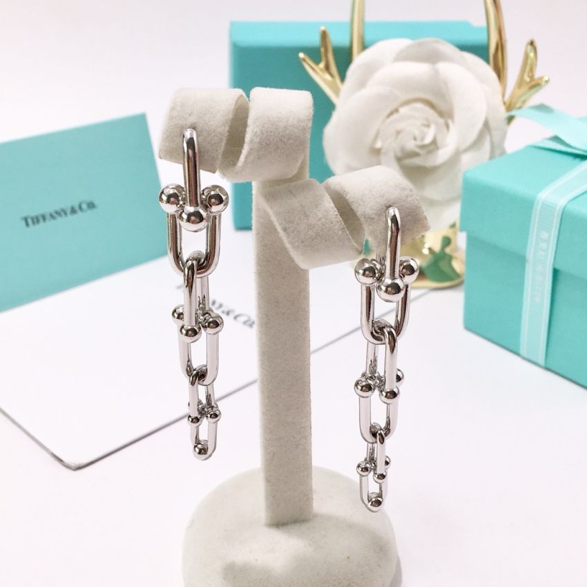 T*f*ny & Co earrings