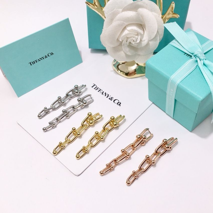 T*f*ny & Co earrings