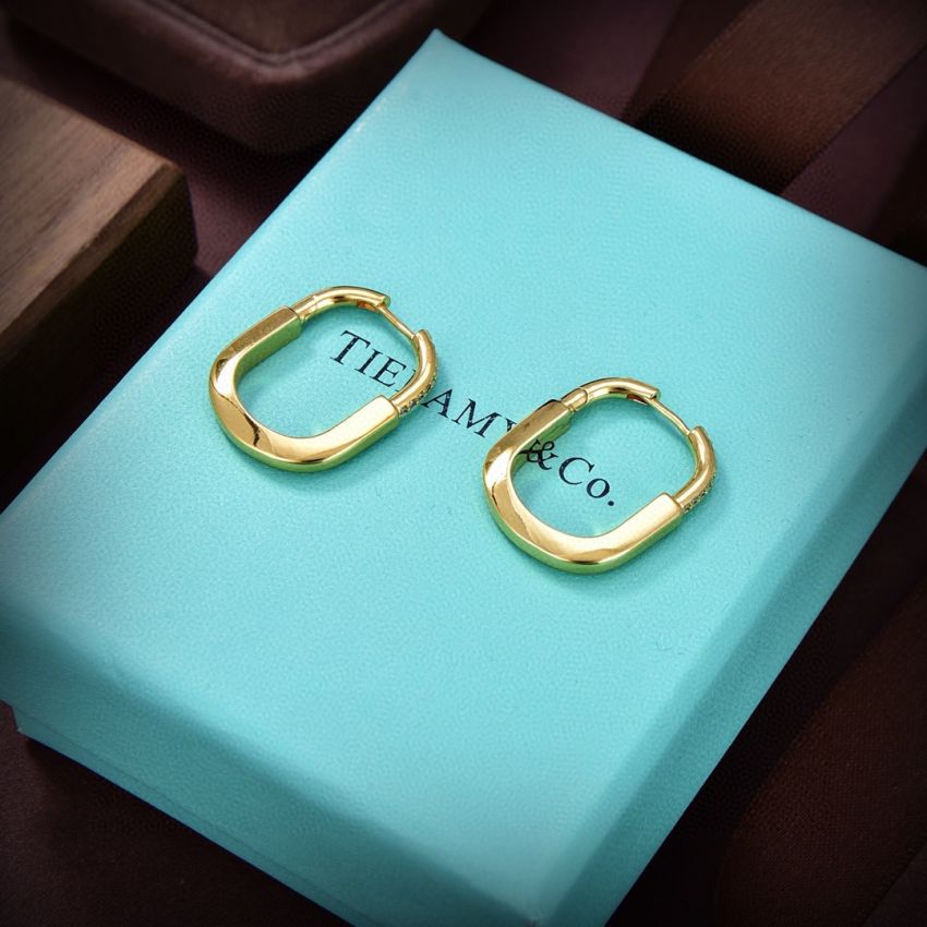 T*f*ny & Co earrings