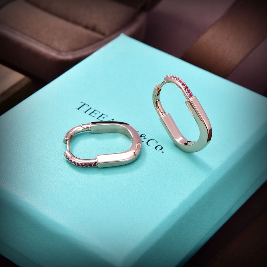 T*f*ny & Co earrings