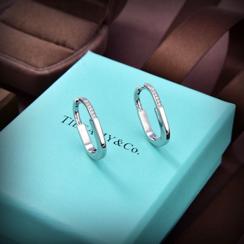 T*f*ny & Co earrings